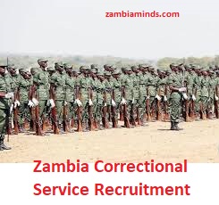 how to write an application letter to zambia correctional service