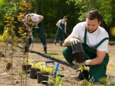 Hotel Gardener Jobs in UAE 2024–2025